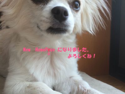 HPリニューアル